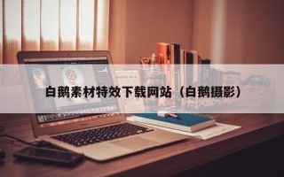 阿坝白鹅素材特效下载网站（白鹅摄影）